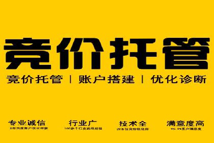 专业SEM托管服务，案例剖析行业应用